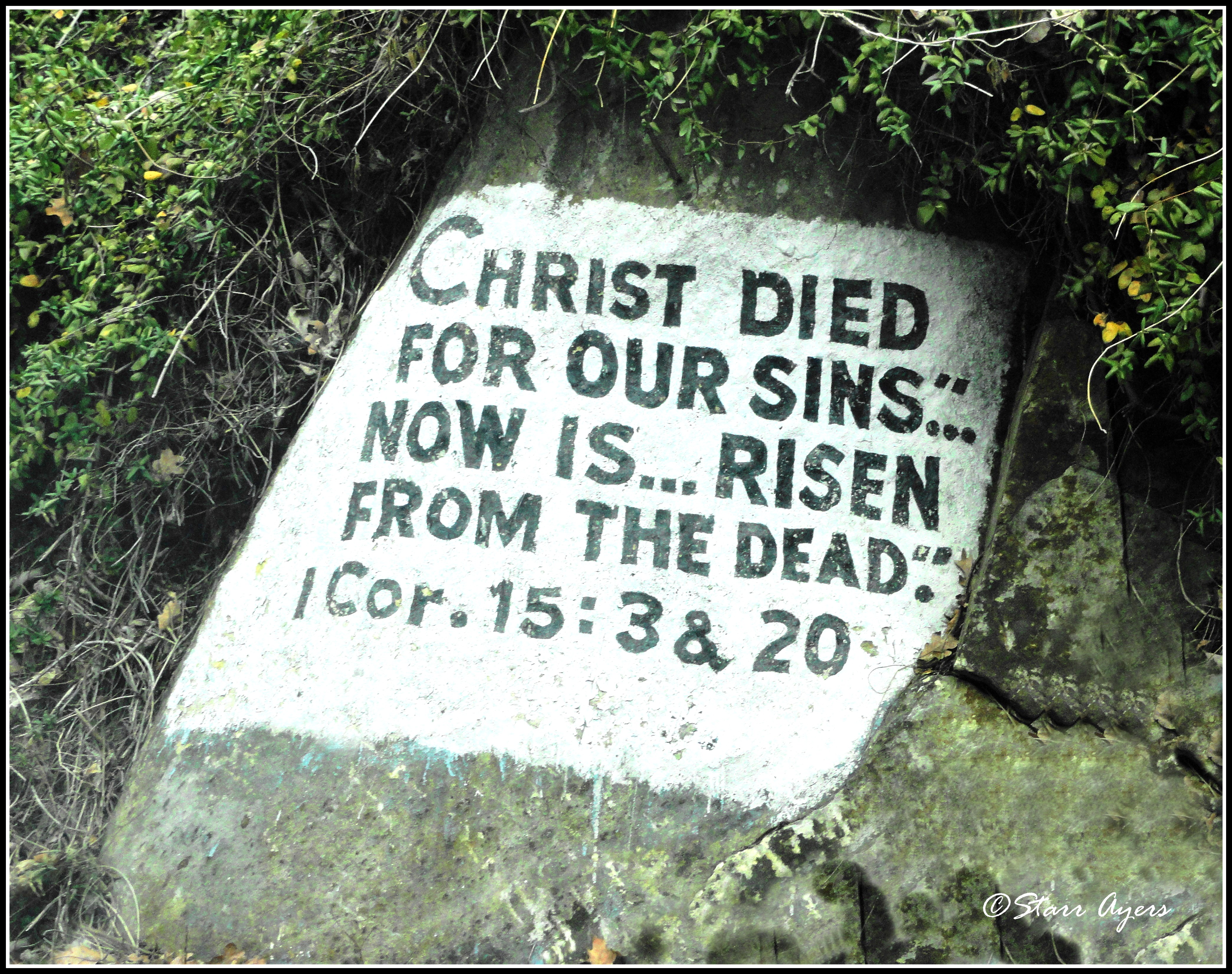Day_5,_Rock_with_scripture