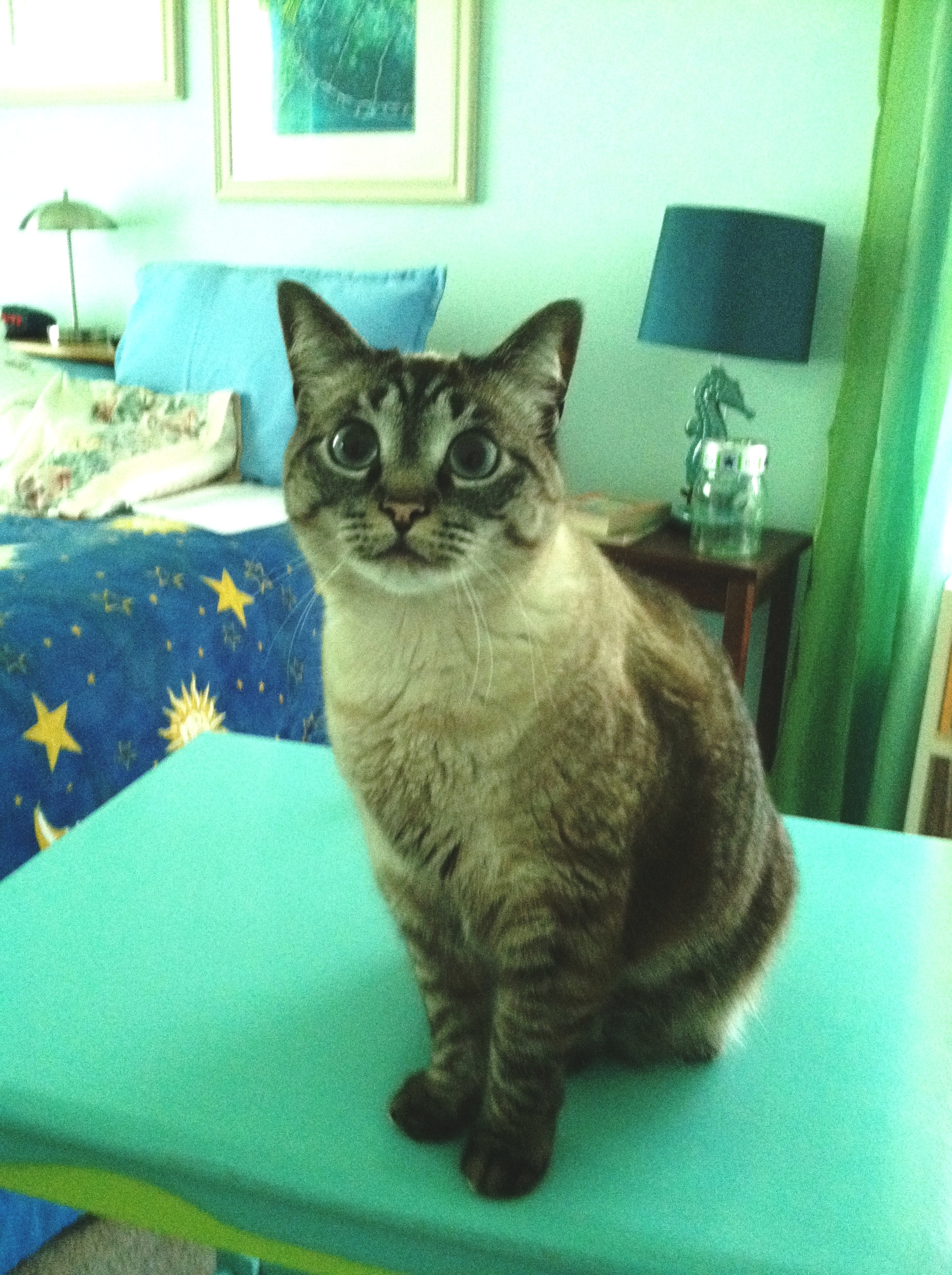 Luna