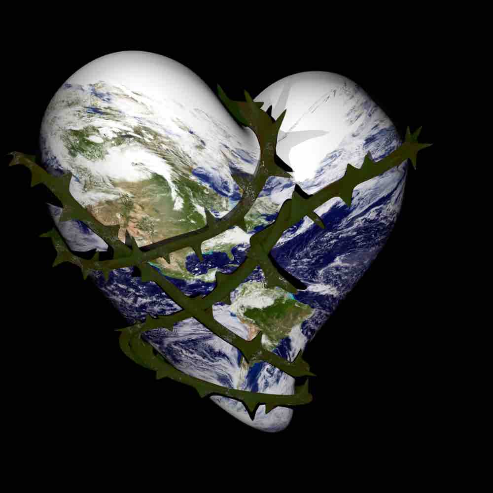 Wednesday_Day_Three_Pic-Thorn_Heart
