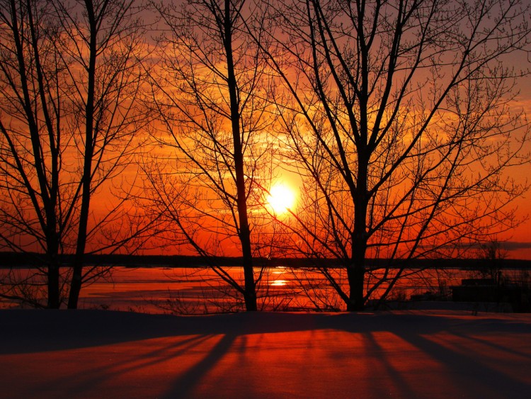 Jesus,_Prince_of_Peace_picture