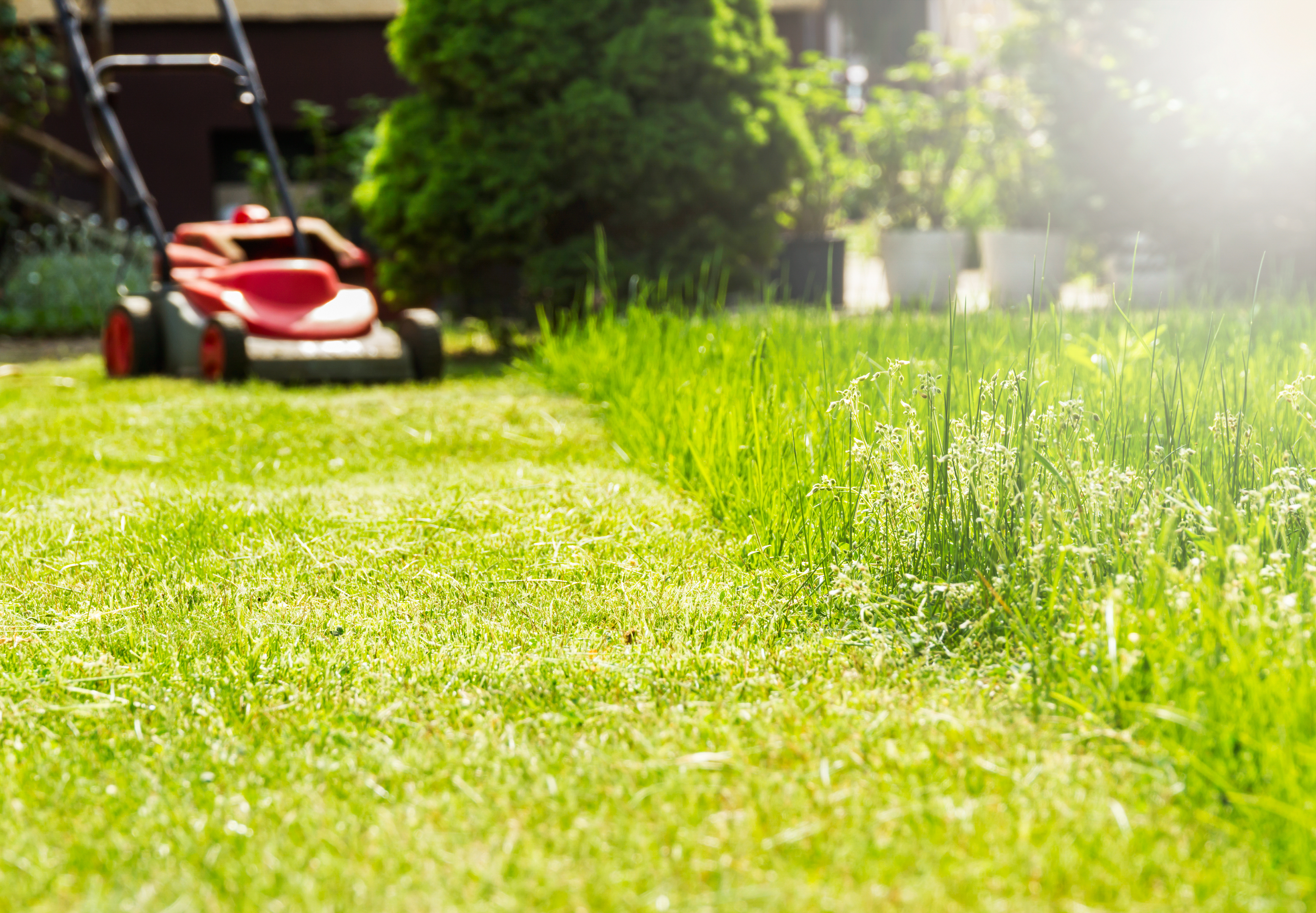 Lawnmower_and_grass Diligence: Make Hay While the Sun Shines