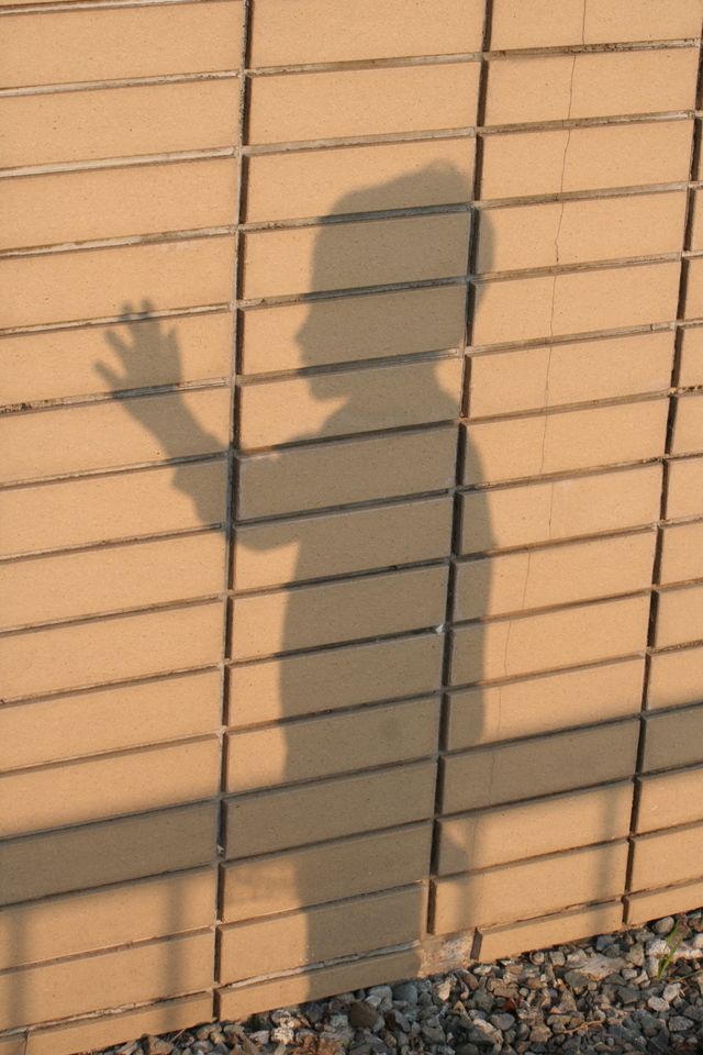 child-reaching-into-the-shadow-1199093-640x960